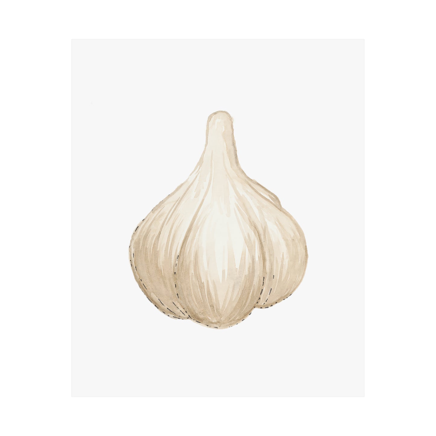 Garlic Print