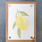 Lemon Original Watercolor