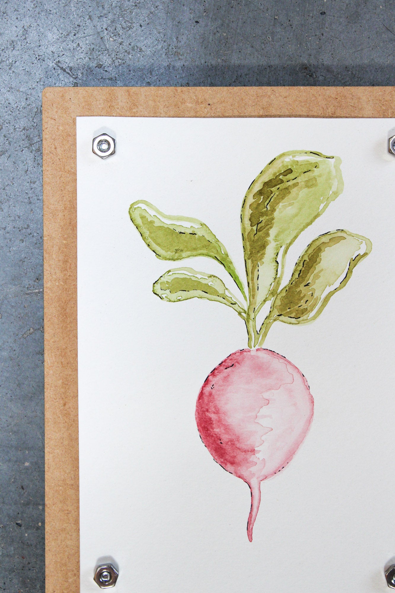 Radish Original Watercolor